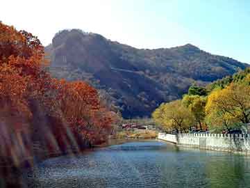 澳门二四六天天彩图库，蓝鸟论坛